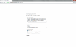sample-cas-client